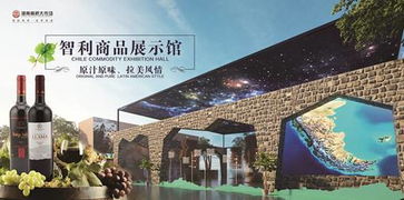 进口商品一手货源 开启全球批发贸易新纪元