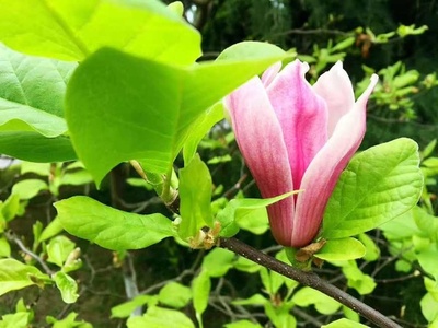 生生不息，意由心生 解读生意之本与批发贸易之道